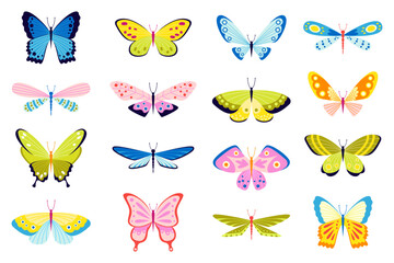 Wall Mural - Set of butterflies of different colors and shapes on white background. Beautiful flying insects