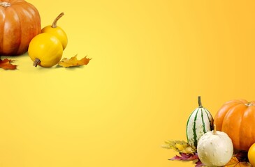 Wall Mural - Set of autumn fresh colored pumpkins and leaves