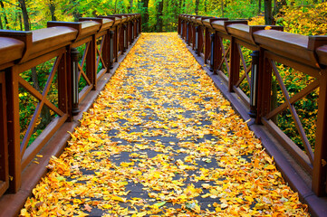 Sticker - Autumn landscape in the forest with wooden bridge