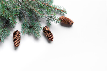 Wall Mural - Winter pine branches and cones