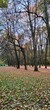 autumn park in the park
Jesień w parku 