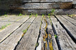 Old wooden planks covered with moss