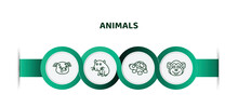 Editable Thin Line Icons With Infographic Template. Infographic For Animals Concept. Included Pig, Capybara, Turtle, Chimpanzee Icons.