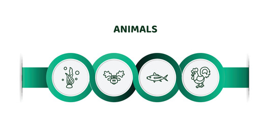 Wall Mural - editable thin line icons with infographic template. infographic for animals concept. included seaweed, moose, tuna, cock icons.