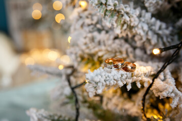 two wedding gold rings on christmas tree branch. copy space