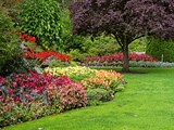Fototapeta Kwiaty - Flower bed with red, orange and yellow flowers