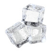 canvas print picture - ice cubes