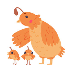 Sticker - Quail Bird with Crest and Feathers Walking with Its Baby Vector Illustration