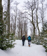 Winter nordic walking in the forest