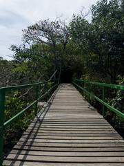 Wooden bridge that gives access to the pier at Lagoa de Marapendi. Vegetation and the lake around. Reserva beach in Rio de Janeiro