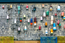 Traditional Vintage Lobster Buoys Hanging On A Shingled Wall.