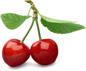 Canvas Print - Ripe  sweet cherries on a white background