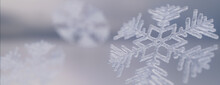 Snowflake Festive Background. Beautiful, Icy Winter Banner With Copy-space.