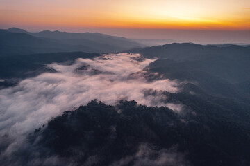 Wall Mural - Morning fog and clouds in the hill forest