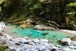 安居渓谷　仁淀川水系で一番美しい水流　水晶淵　日本一の清流　自然公園