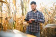 © Serhii - Happy young farmer or agronomist using tablet in corn field. Organic farming and food production