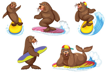 Wall Mural - set of different sea lions cartoon characters