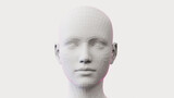 Fototapeta  - 3d rendered illustration of a females face