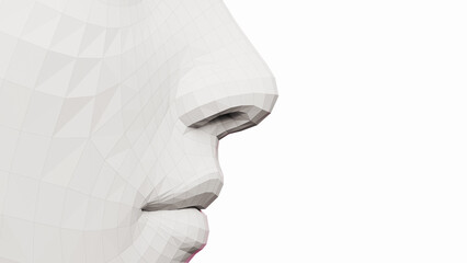 Wall Mural - 3d rendered illustration of a female nose