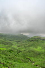 Salalah landscapes The green and wet part of Oman 