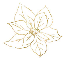 Christmas Golden Outline Poinsettia Flower, Winter Holiday Party Design Element