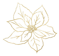 Christmas golden outline Poinsettia flower, Winter holiday party design element