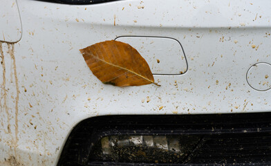 Close-up of white car covered with mud in autumn.