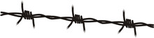 Vector Graphics Of A Barbed Wire. Isolated On Transparent Background
