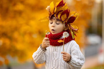 Sticker - Adorable little child, blond boy with crown from leaves in park on autumn day.