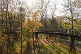 Fototapeta Pomosty - Wooden walkway bridge in the air in an autumn park in bright sunny day