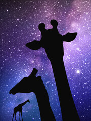 Sticker - Giraffe heads. Funny animal silhouette. Milky Way at night starry sky