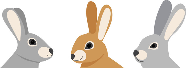 Wall Mural - cute rabbit portrait, isolated vector