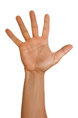 Wall Mural - gesture series: hand shows five fingers.