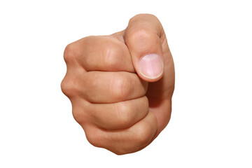 Wall Mural - gesture series: fist, exempted