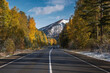 road asphalt mountains trees snow autumn