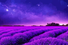 A Lavender Field Full Of Purple Flowers At Night 