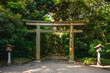 Torii leading to the Meiji Shrine in tokyo, japan
