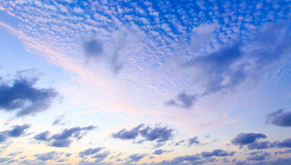 Wall Mural - clouds in the blue sky