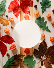 Wall Mural - Autumn composition with a round frame, bright fallen tree leaves and physalis flowers. Red, yellow, green leaves are on a white wooden background. Autumn, fall, thanksgiving day concept. Copy space.