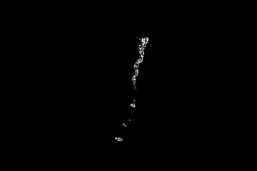 Poster - water splashes isolated on black background. white jets with drops