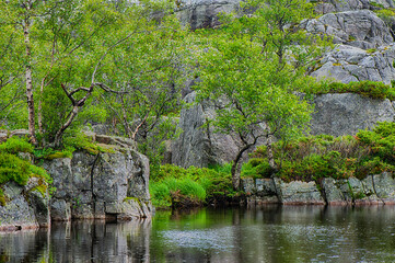 Wall Mural - Preikestolen Norwegen - Wandertour