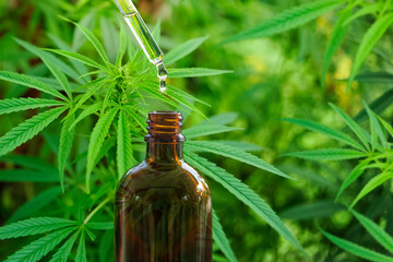 Cannabis extract for healing therapies