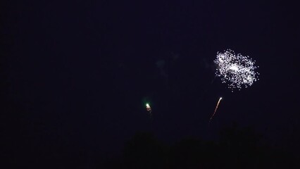 Canvas Print - Golden fireworks exploding in the dark sky enlightening night trees