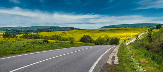 Spring rapeseed yellow blooming fields