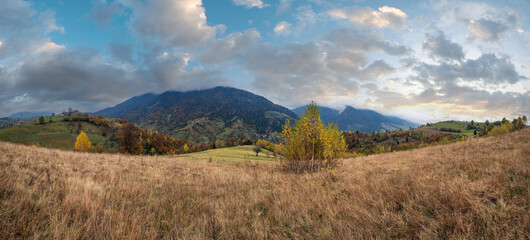 Wall Mural - cloudy and foggy day autumn mountains scene. peaceful picturesque traveling, seasonal, nature and co