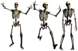 Fototapeta  - Fantasy horror skeletons 3D illustration