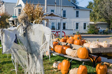 Halloween Ghouls In Front Of Pumpkins For Sale With A Two-story Older House In The Background In A Town.