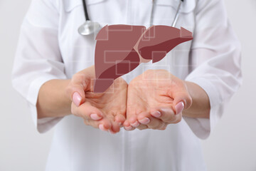 Wall Mural - Doctor with stethoscope and illustration of healthy liver on light background, closeup