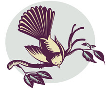 Illustration Of A New Zealand Fantail Bird On A Branch Done In Retro Woodcut Style.