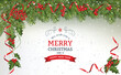 Christmas background with fir branch border and berry. Christmas decorations